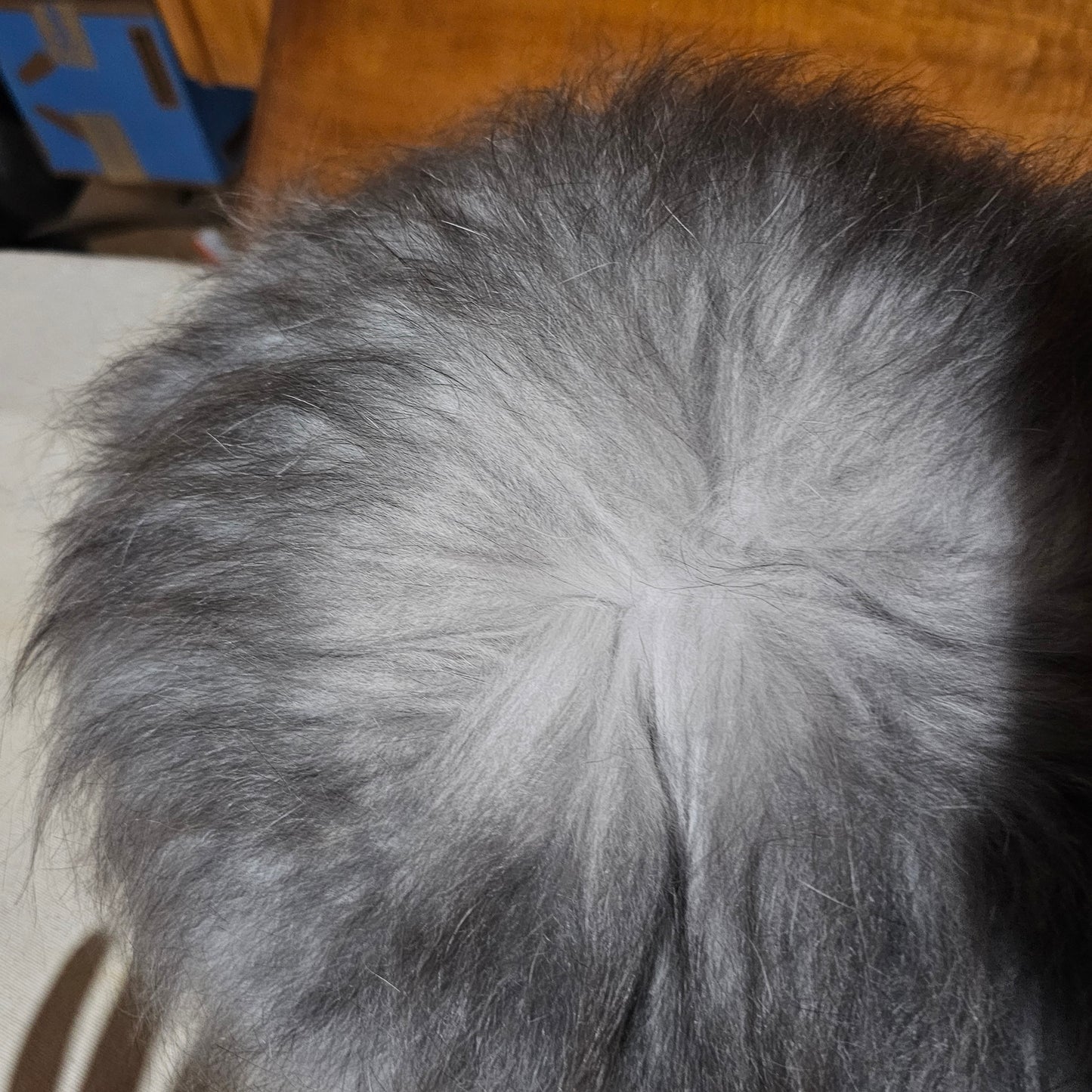 English angora rabbit fiber