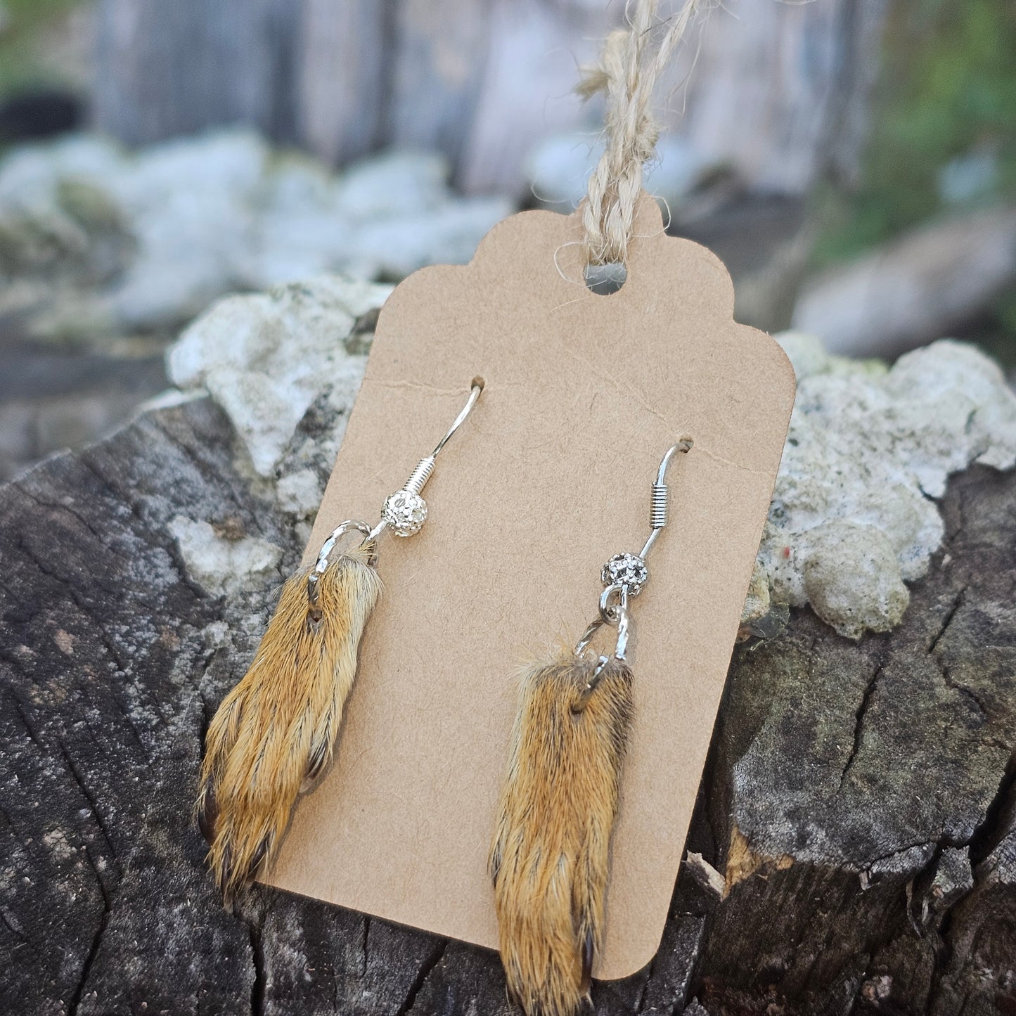 Real squirrel paw earrings