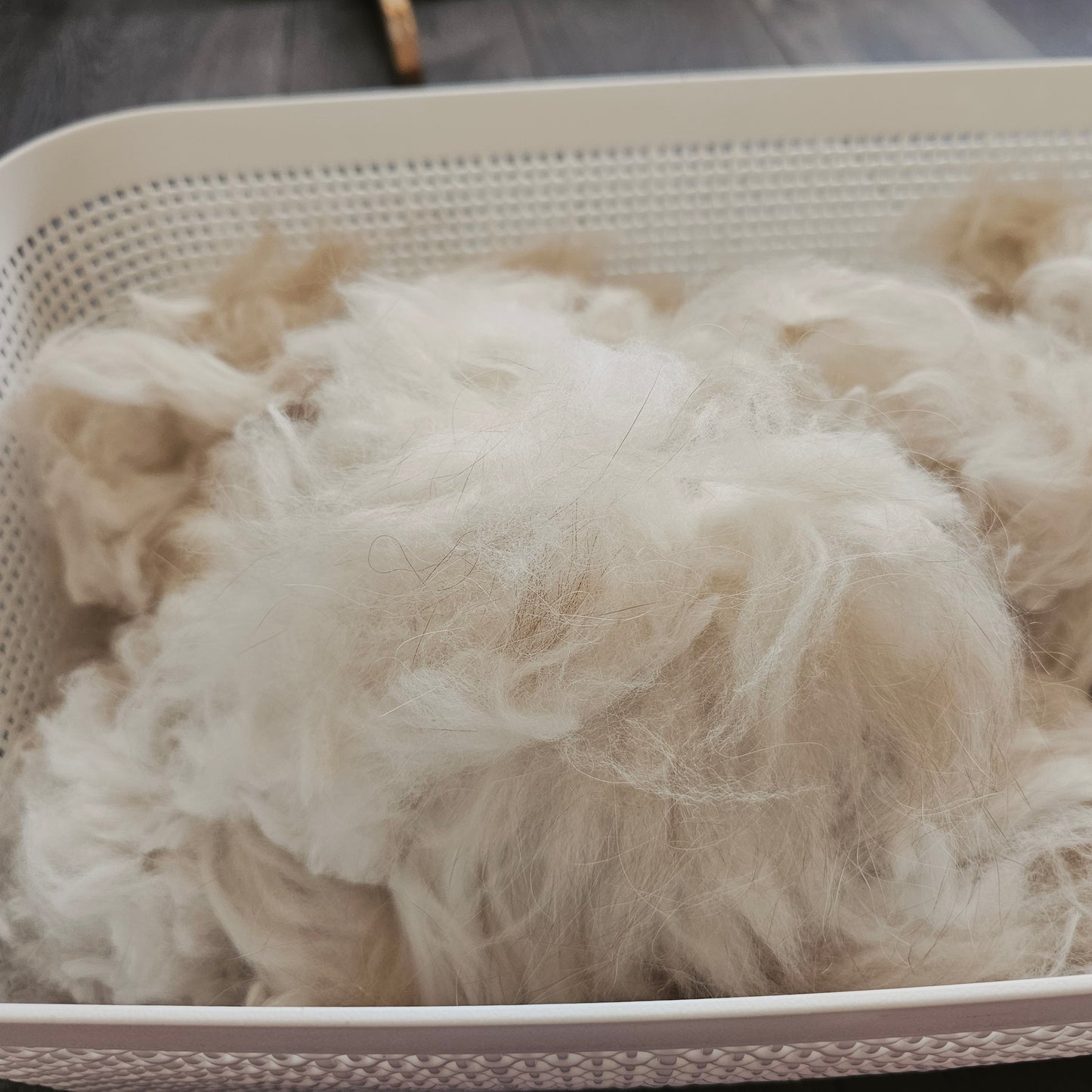 English angora rabbit fiber