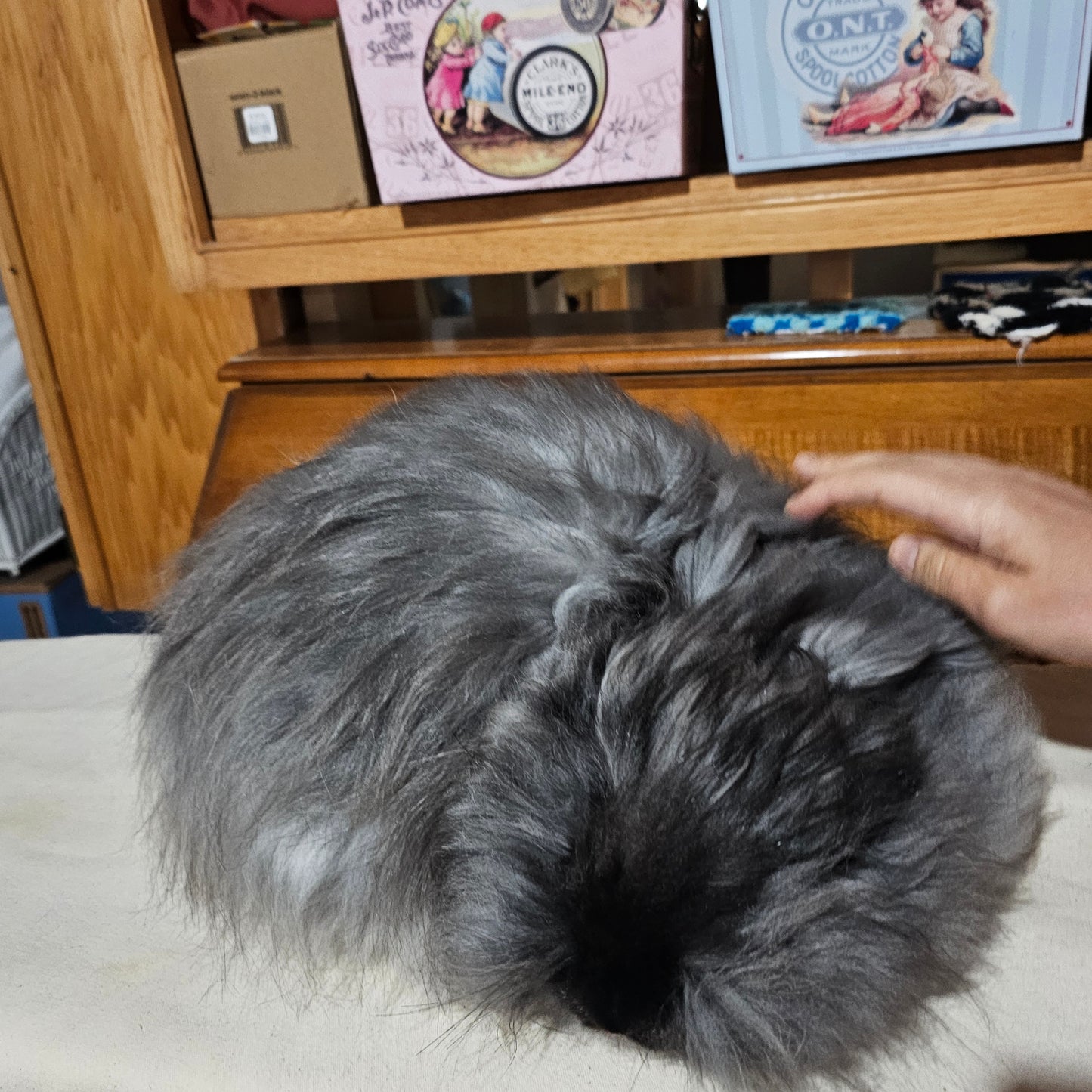 English angora rabbit fiber
