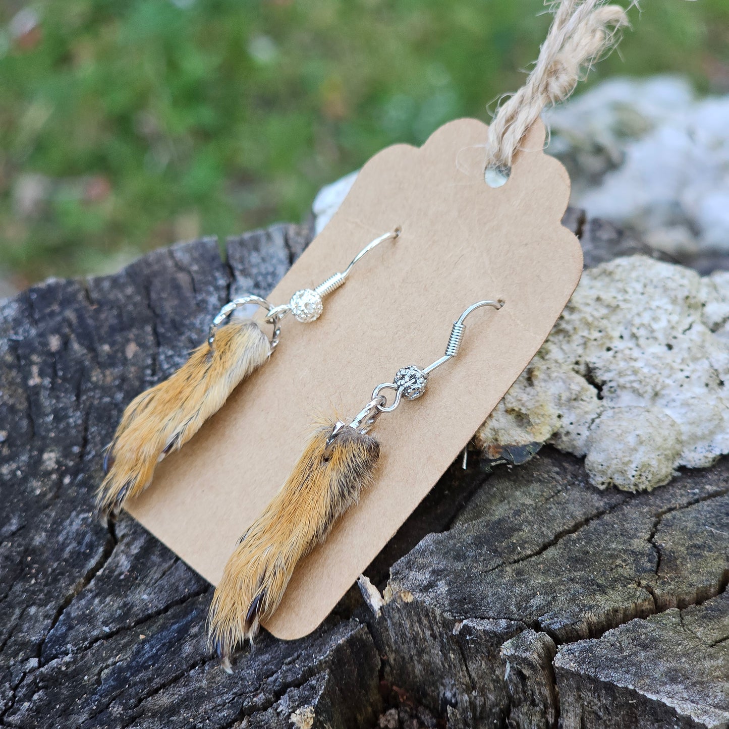 Real squirrel paw earrings