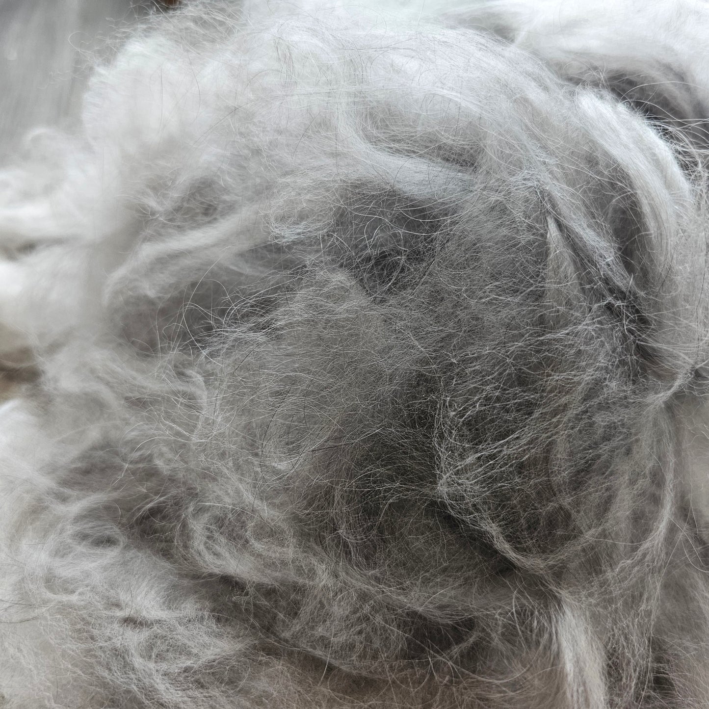 English angora rabbit fiber