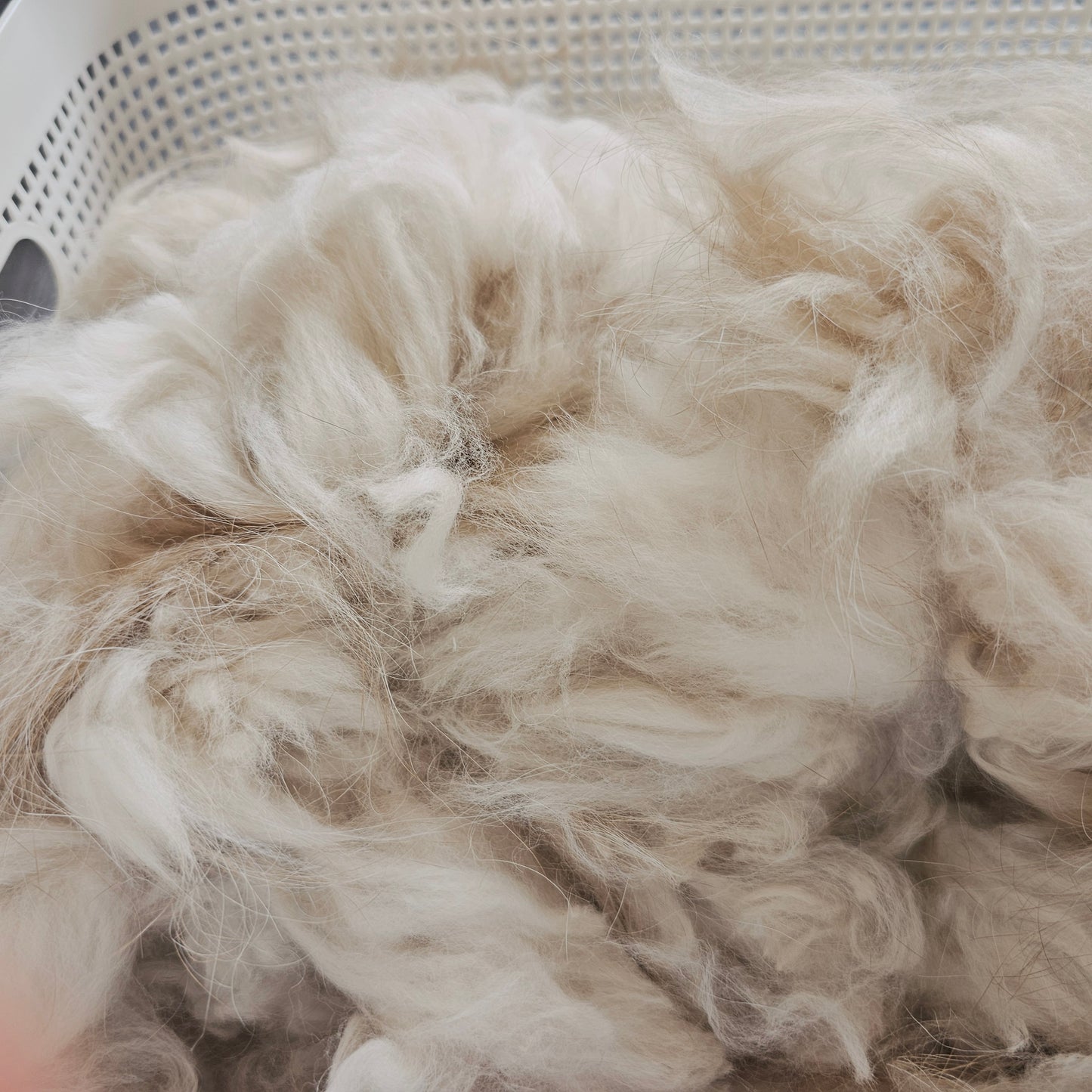 English angora rabbit fiber